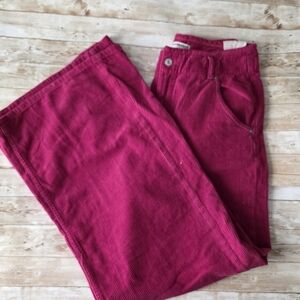 We The Free Fuchsia Corduroy Pants